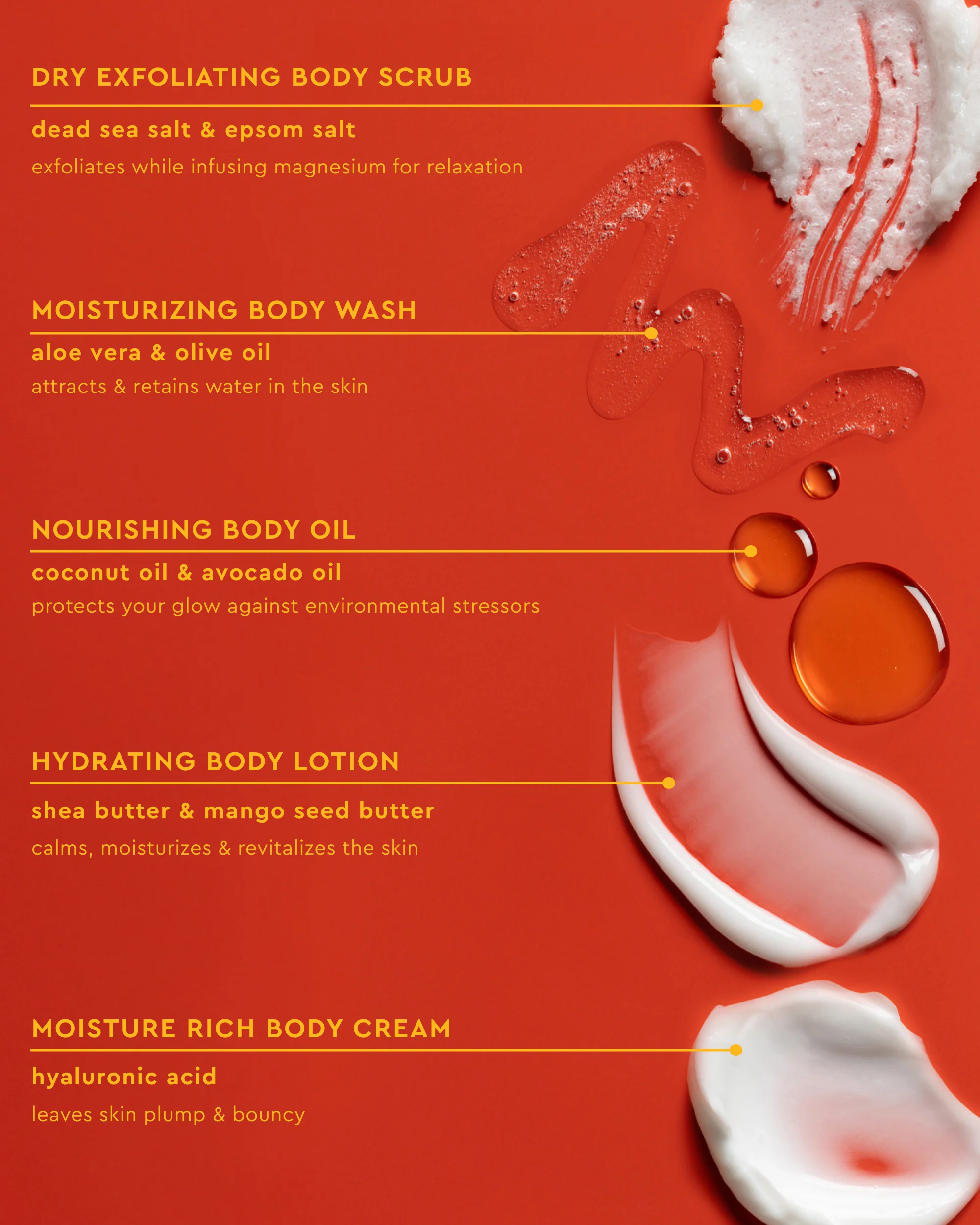 Body Full Collection Bundle - Image 13