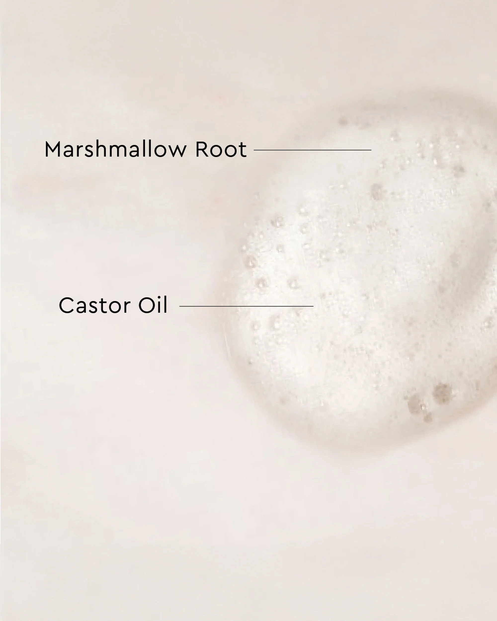 Palo Santo Curl Mousse - Image 4